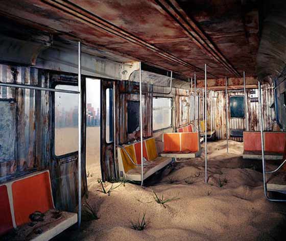 اكتشاف عالم بلا بشر داخل شقة في نيويورك صورة رقم 5