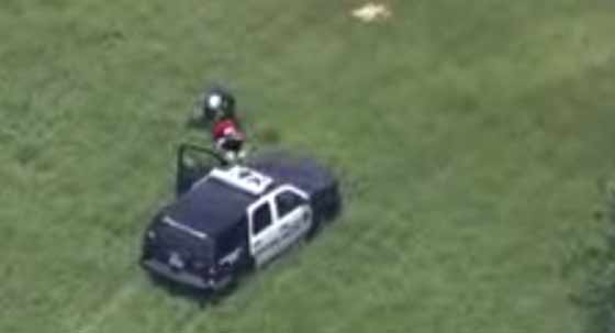 شرطي يقفز من الطائرة للقبض على لص هارب.. شاهده صورة رقم 2