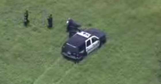 شرطي يقفز من الطائرة للقبض على لص هارب.. شاهده صورة رقم 1