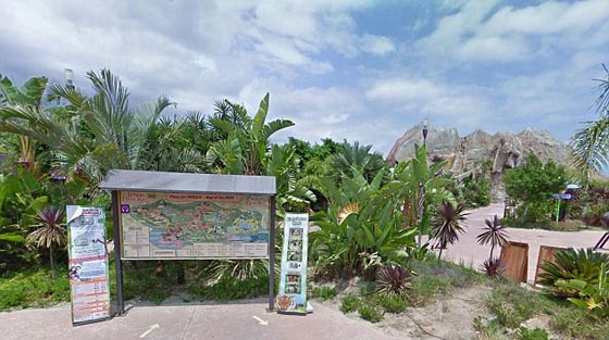 حدث في متنزه للطبيعة.. نمر هائج يهاجم حارسته ويرديها قتيلة صورة رقم 2