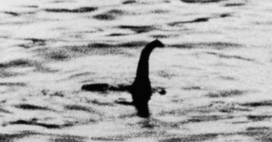 حادث غريب يعيد اسطورة اخر الديناصورات على الارض مجددا  صورة رقم 3