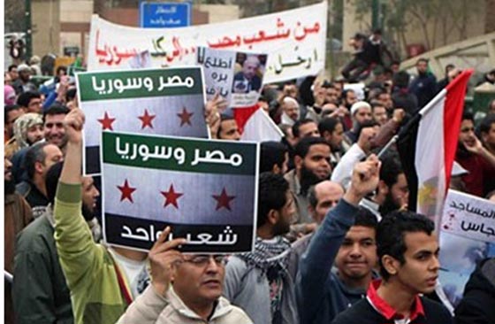 (كيلو كحك الا كحكة) حملة مصرية لدعم اخوانهم اللاجئين في العيد صورة رقم 7