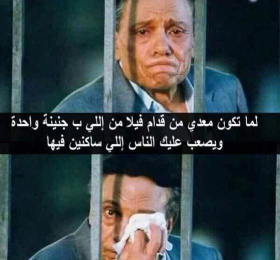 الدوندو والاسطورة اكثر موضوعات اثرت في المجتمع المصري برمضان صورة رقم 3