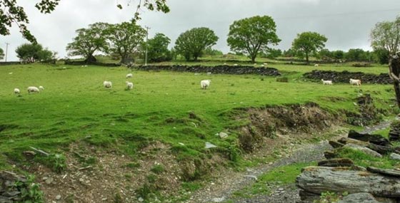 يا بلاش.. قرية تضم 16 منزلا للبيع بمليون ونصف جنيه إسترليني صورة رقم 2