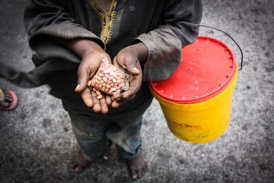  رئيس السنغال يتوعد بسجن معلمين ارسلوا طلابهم للتسول في الشوارع صورة رقم 4