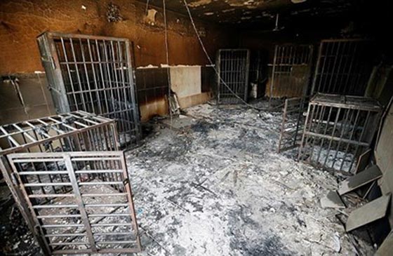  الاسلام على طريقة داعش.. خراب ودمار وظلام وجبل من اللحى في الفلوجة! صورة رقم 1