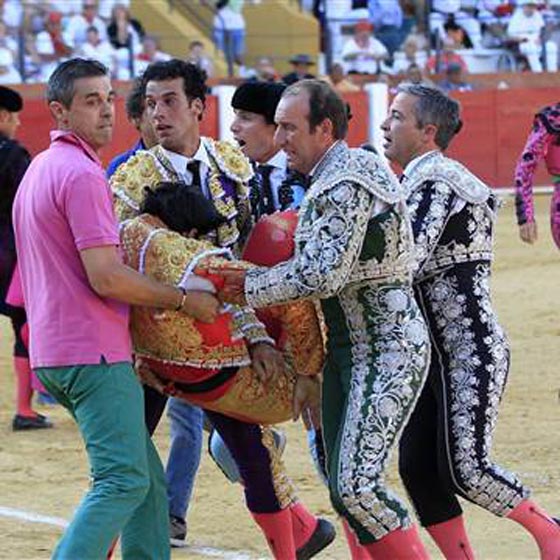 اول مرة في هذا القرن.. ثور يصرع مصارعه الاسباني صورة رقم 9 اول مرة في هذا القرن.. ثور يصرع مصارعه الاسباني صورة رقم 9