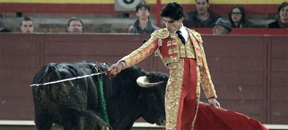 اول مرة في هذا القرن.. ثور يصرع مصارعه الاسباني صورة رقم 6 اول مرة في هذا القرن.. ثور يصرع مصارعه الاسباني صورة رقم 6