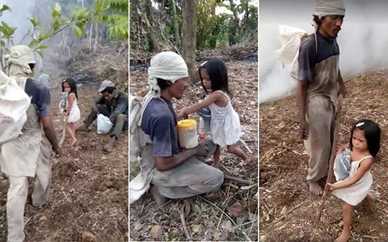 الفقر المدقع يدفع طفلة (5 سنوات) لمرافقة والدها الاعمى لعمله يوميا صورة رقم 1 الفقر المدقع يدفع طفلة (5 سنوات) لمرافقة والدها الاعمى لعمله يوميا صورة رقم 1