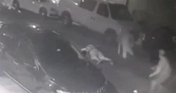 الاسلام جعله في قفص الاتهام.. الاعتداء على مسلم عند مسجد نيويورك صورة رقم 7 الاسلام جعله في قفص الاتهام.. الاعتداء على مسلم عند مسجد نيويورك صورة رقم 7