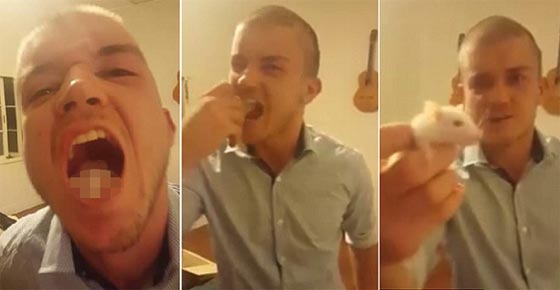 محاكمة استرالي يقتلع راس فأر ويأكله.. فيديو صورة رقم 1