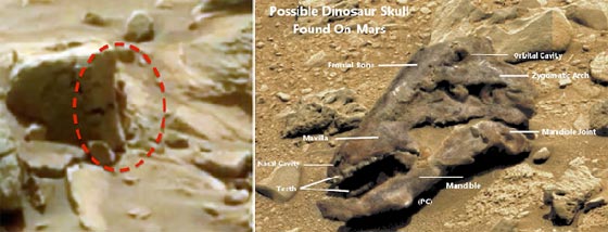 هل هنالك من احتل عربة ناسا على المريخ؟ شاهد صورة للكائن الفضائي! صورة رقم 2