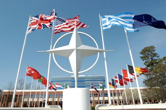 منسقة فريق العمل بين اوكرانيا والناتو ليست سوى نجمة افلام اباحية! صورة رقم 7