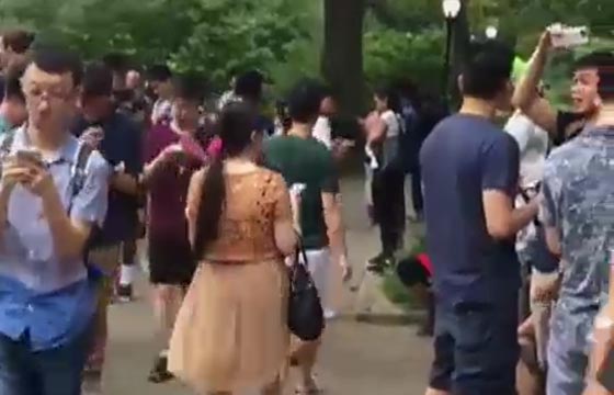 في روسيا يطالبون بمنع بوكيمون.. لهذا السبب صورة رقم 8 في روسيا يطالبون بمنع بوكيمون.. لهذا السبب صورة رقم 8