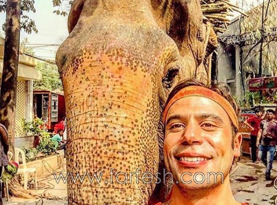 سر تفوق محمد امام على السقا ومحمد رمضان يحذف الزعيم! صورة رقم 3