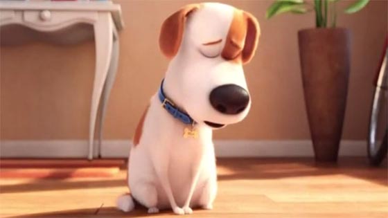 ذا سيكرت لايف أوف بيتس.. في صدارة السينما الامريكية للاسبوع الثاني صورة رقم 3
