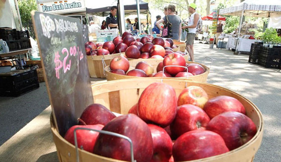 فتاة تعيش حياة خالية من النفايات لهذا السبب  صورة رقم 5