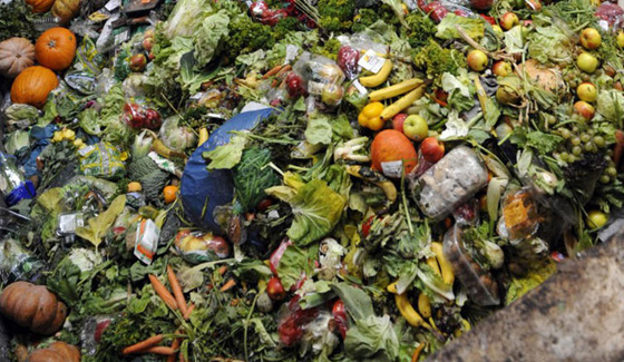 فتاة تعيش حياة خالية من النفايات لهذا السبب  صورة رقم 7