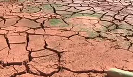  النصف الاول من عام 2016 الاشد حرارة في التاريخ صورة رقم 3