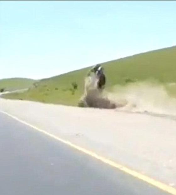 فيديو مروع.. سيارة تقذف سائقها ليطير في الهواء وتستقر فوقه صورة رقم 4