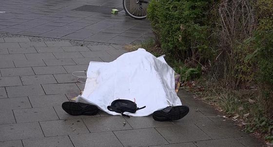 هجوم ميونخ يخلف 9 قتلى نفذه امريكي من اصل ايراني ودوافعه غير معروفة صورة رقم 25