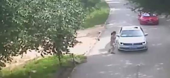 فيديو مروع.. نزلت من سيارة زوجها فتلقفها نمر شرس ونهشها حتى الموت صورة رقم 4