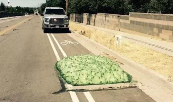 الولايات المتحدة ترتعد لكتل خضراء غريبة على الطرقات صورة رقم 1