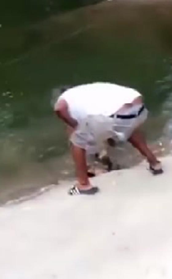 فيديو مروع.. صياد يقتل سلحفاة بمطرقة ويدعي الدفاع عن النفس! صورة رقم 1