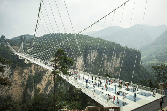 إغلاق أطول وأعلى جسر زجاجي في العالم بعد أيام على افتتاحه صورة رقم 8