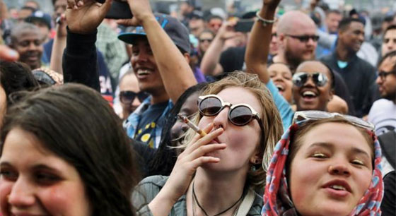 ارتفاع معدلات تعاطي الحشيش في الولايات المتحدة صورة رقم 5