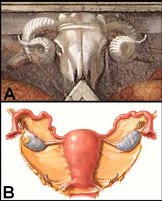 مايكل أنجلو خدع الكنيسة برسومات تحتوي رموز لجسد المرأة  صورة رقم 3