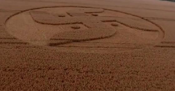 ما السر وراء ظهور رمز النازية في حقل زراعي ببريطانيا؟! صورة رقم 2