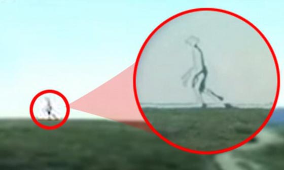 اكتشاف كائنات الارض الثانية يعيد الى الذاكرة زيارة مخلوقات بـ8 اقدام صورة رقم 1