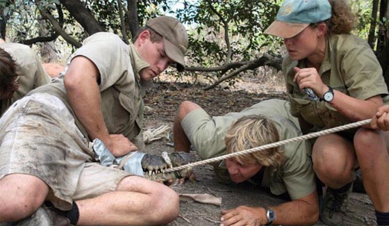 10 سنوات على رحيل (صائد التماسيح) بسبب لسعة سمكة سامة! صورة رقم 1