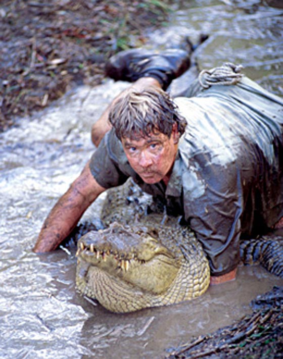 10 سنوات على رحيل (صائد التماسيح) بسبب لسعة سمكة سامة! صورة رقم 8