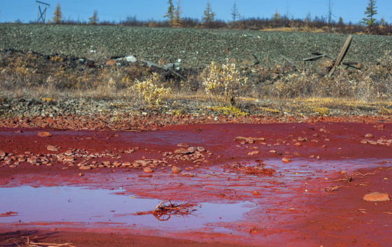  نهر في روسيا ينزف دما صورة رقم 4