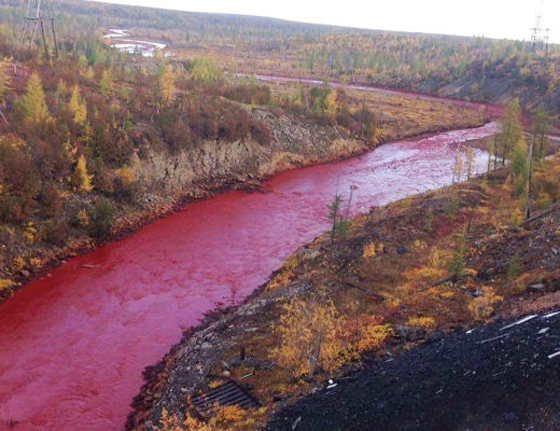  نهر في روسيا ينزف دما صورة رقم 3