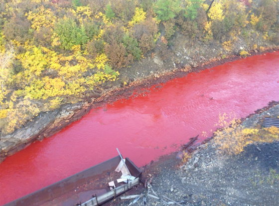  نهر في روسيا ينزف دما صورة رقم 6