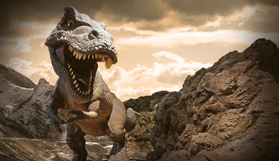 طبعة قدم ديناصر على صخور شاطئ عمرها 130 مليون سنة صورة رقم 5