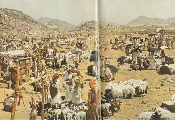 صور توضح الفرق بين الحج قبل 63 عاما وبين ما نحن عليه اليوم صورة رقم 14