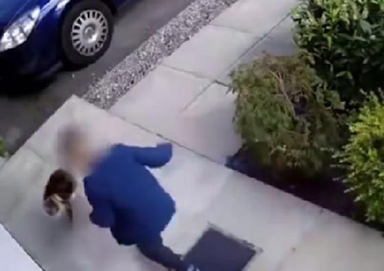 فيديو وصور.. قطة تهاجم طفلا بعد ان اساء معاملتها صورة رقم 2