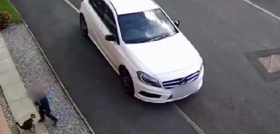 فيديو وصور.. قطة تهاجم طفلا بعد ان اساء معاملتها صورة رقم 3