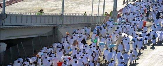 مئات آلاف الحجاج يتجمعون في منى بيوم التروية قبل صعود عرفات صورة رقم 3