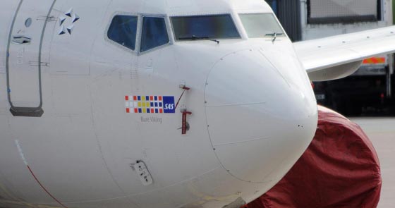  نجاة طائرة سودانية اصطدمت بنسر وسبّب فتحة كبيرة في هيكلها   صورة رقم 2