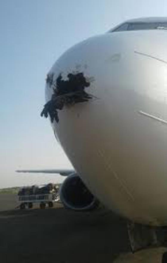  نجاة طائرة سودانية اصطدمت بنسر وسبّب فتحة كبيرة في هيكلها   صورة رقم 1