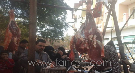 صور جزارين من الأفلام المصرية: احذر من المعلم (عكوة) و (العنتبلي) صورة رقم 4