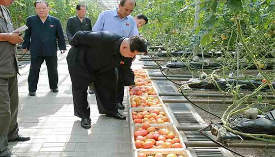 تصرفات طريفة وغريبة لزعيم كوريا الشمالية كيم جون أون صورة رقم 14 تصرفات طريفة وغريبة لزعيم كوريا الشمالية كيم جون أون صورة رقم 14