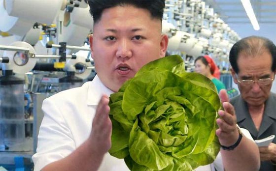 تصرفات طريفة وغريبة لزعيم كوريا الشمالية كيم جون أون صورة رقم 16 تصرفات طريفة وغريبة لزعيم كوريا الشمالية كيم جون أون صورة رقم 16