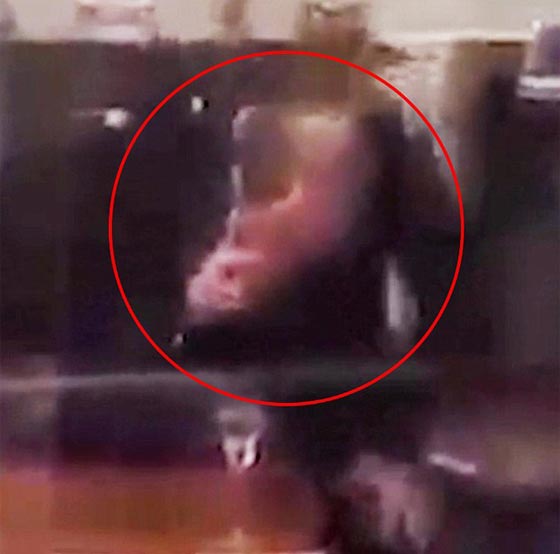  فيديو صادم: حارس ملكة بريطانيا يتعاطى المخدرات أثناء عمله صورة رقم 1