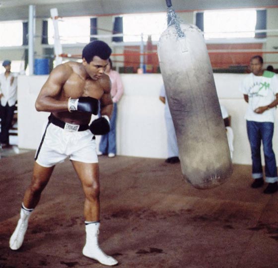 10 مشاهير حملوا لقب (اصغر ملياردير) في سن العشرين صورة رقم 7